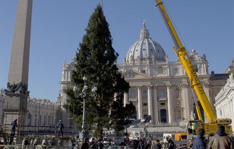 Na Svatopetrském náměstí ve Vatikánu stojí tradiční vánoční strom, symbol česko-německého přátelství