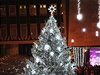ÚSTÍ NA LABEM - Na Lidickém náměstí je strom oděn do bílé barvy sněhu.