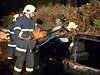 Vítr vyvrátil strom v Novém Mst nad Metují, který se zitil na zaparkovaný automobil ten znan pokodil.