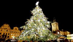 Vánoční Staromák letos ozdobí smrk z Benešovska 