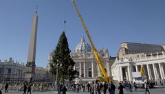 Vánoční strom z Česka se ve Vatikánu postaral o rozruch 
