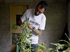 Pstitel Marcelo Vazquez  peuje o své rostliny konopí