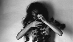 Martin trba, Mezifáze evoluce, 1986