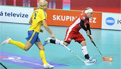 Zleva Anna Vijk (�védsko) a Anet Jarolímová (�R).