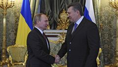 'Princip vzjemn vhodnosti': Janukovy odjel do Moskvy za Putinem 