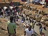 Vrcholnho vchodoafrickho setkn v Nairobi se neastn jihosdnsk prezident Salva Kiir. 