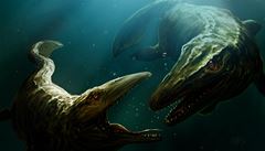 "Fotografická technika je dnes na takové úrovni, e malování ivých zvíat nemá zdaleka takový význam jako dív. Ale vyhynulé zvíe nevyfotíte, musíte ho njak ztvárnit."