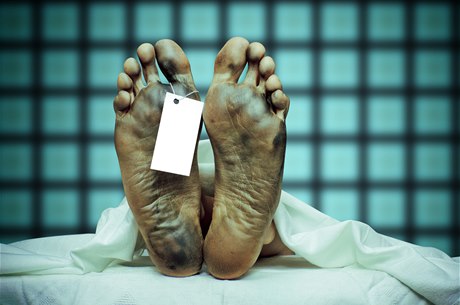 Zam�stnanci ke�ské márnice za�ili �ok. Probudil se jim nebo�tík