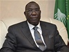 Michel Djotodia, velitel muslimských rebel v SAR, se prohlásil prezidentem zem po beznovém pui. Na zaátku ledna na svou funkci rezignoval. 