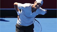 �eský tenista Tomá� Berdych.