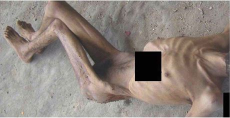 Jedna z fotografií, které propaoval ze Sýrie dezertér.
