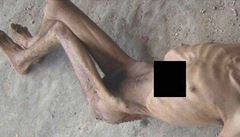 Dsiv fotky ze Srie: vzni vypadaj jako po holokaustu