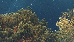 Ryan McGinley: Night Sky (Pine) 	