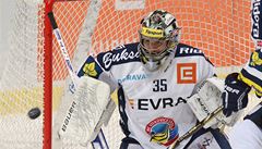 Branká Vítkovic Filip indelá