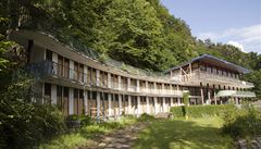 Zelená �ába nyní.