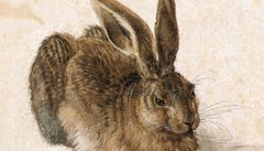 PEŇÁS: Dürerův zajíc aneb Německý mistr