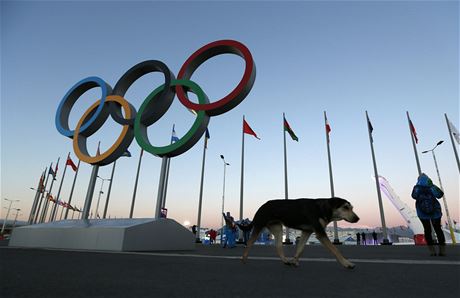 Kolem olympijskch arel se potloukaj destky ps