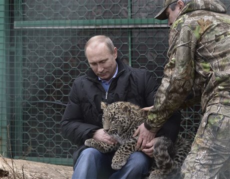 Putin se pomazlil se vzácným levhartem perským