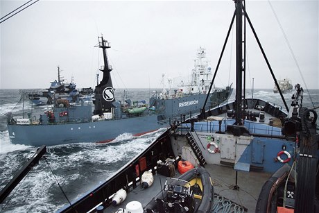 Stet plavidel Sea Shepherd a Juin Maru 3. 