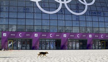 Kolem olympijskch arel se potloukaj destky ps
