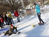 Návtvníci si mohou vyzkouet mnoho olympijských disciplín, napíklad curling.