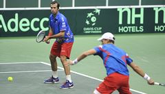 Radek �t�pánek a Tomá� Berdych