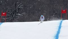 Matthias Mayer p�i olympijském sjezdu