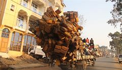 Na hranicích Rwandy a Konga.