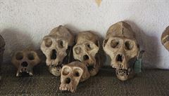 Národní park v oblasti tropického de�tného lesa okolo dvou vyhaslých sopek,...