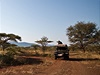 Pongolo GR - píjemné safari bez nebezpených predátr