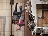 World Press Photo - 2. místo v kategorii Spot News Stories, fotograf Tyler Hicks, USA. Snímek zachycuje enu a dti, jak se schovávají ped stelcem v obchodním centru Westgate v Nairobi.