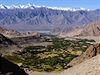 Vtinu údolí v Ladakhu promnili místní v zelené oázy. Stojí to nezmrné...