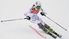 �eská ly�a�ka �árka Strachová