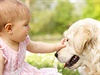 Nejčastěji dítě pokouše rodinný pes. Konfliktům lze ale předejít, když se...