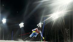 Raku�an Marcel Hirscher.