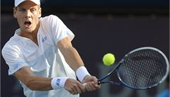 Tomá Berdych.