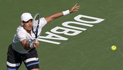 Na prestinm turnaji v Dubaji jdou dl Berdych, tpnek i Rosol