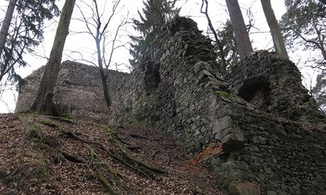Po hodin cesty jsem skrz lesní porost zahlédli ziceninu hradu Zboený Kostelec.