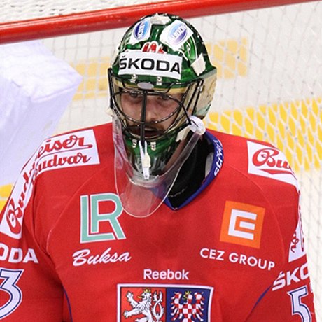 Reprezentaní gólman Alexander Salák.