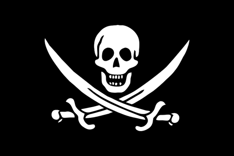 Registrací domény PirateLeaks.cz uinila eská pirátská strana dalí krok na cest ke zveejnní utajovaných dokument.