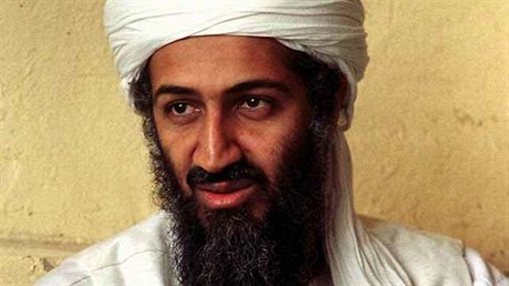 Dopadení Usámy bin Ládina stálo USA stovky miliard dolar .