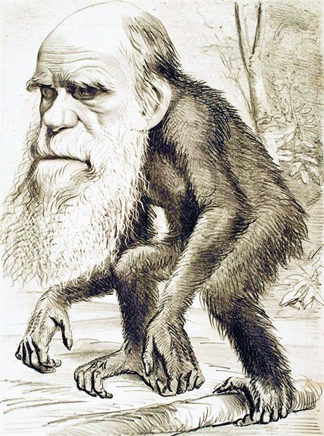 Charles Darwin z opice pocházel, jak ukázala jeho dobová karikatura z roku 1871, ale prezidentv poradce Petr Hájek rozhodn nikoli, jak ped temi lety zdraznil.