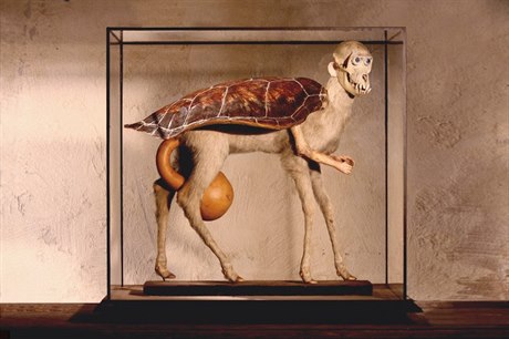 A False Tortoise by Jan vankmajer
