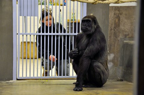 Bikira (right) with a zookeeper after arriving in Prague in 2010