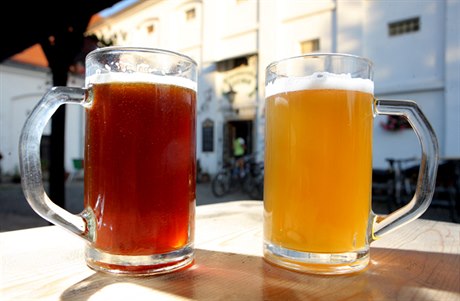 Pivo je hlavním důvodem, proč Chýni navštívit. Polotmavý ležák (vlevo) tvoří asi polovinu produkce minipivovaru. Světlá desítka (vpravo) je pak jedním z nejlepších piv, které jsme kdy okusili.