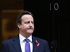 Proti politice konzervativnho premira Davida Camerona se bou tm polovina poslanc jeho strany.