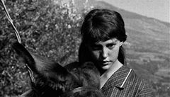 Anne Wiazemská ve filmu A co dál, Baltazare
