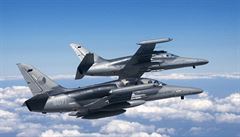 The Ministry of Defense will purchase new L-159 T1 jets