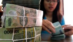 Kontrola inflace a obnovení důvěry v národní měnu dong jsou jedny z hlavních úkolů hanojské vlády a vietnamské centrální banky pro příští rok.