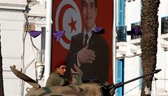 Tuniská armáda nepodpořila hlavu státu, a měla tak rozhodující podíl na tom, že prezident Bin Alí utekl 14. ledna ze země.